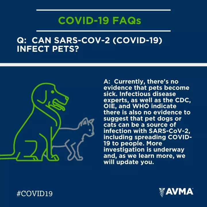 There is NO evidence that the CoronaVirus infects pets!