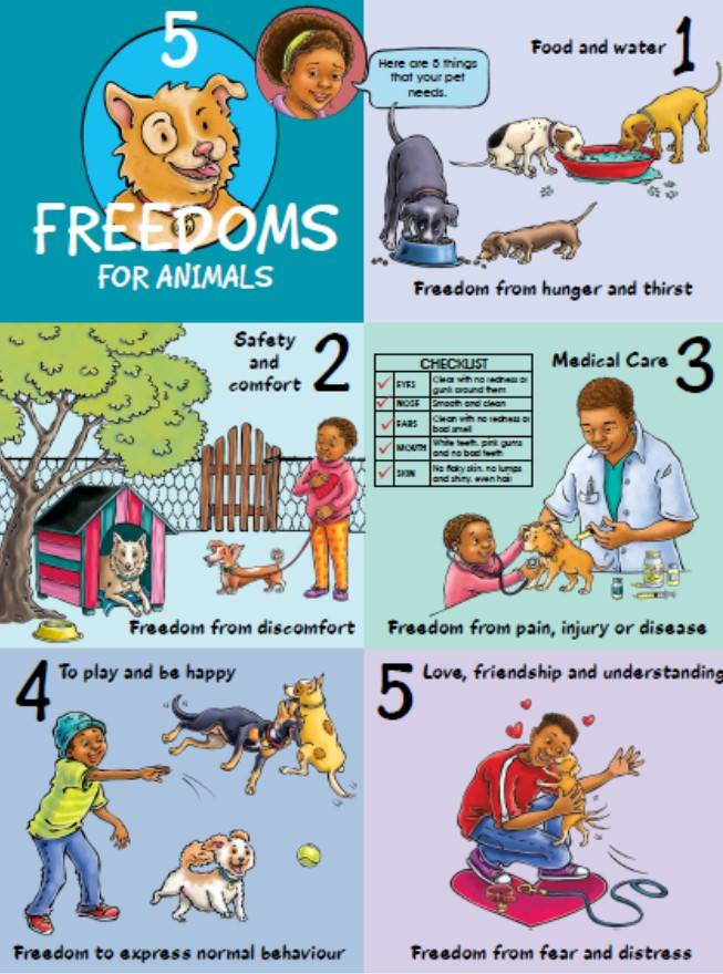 5 Freedoms for Animals